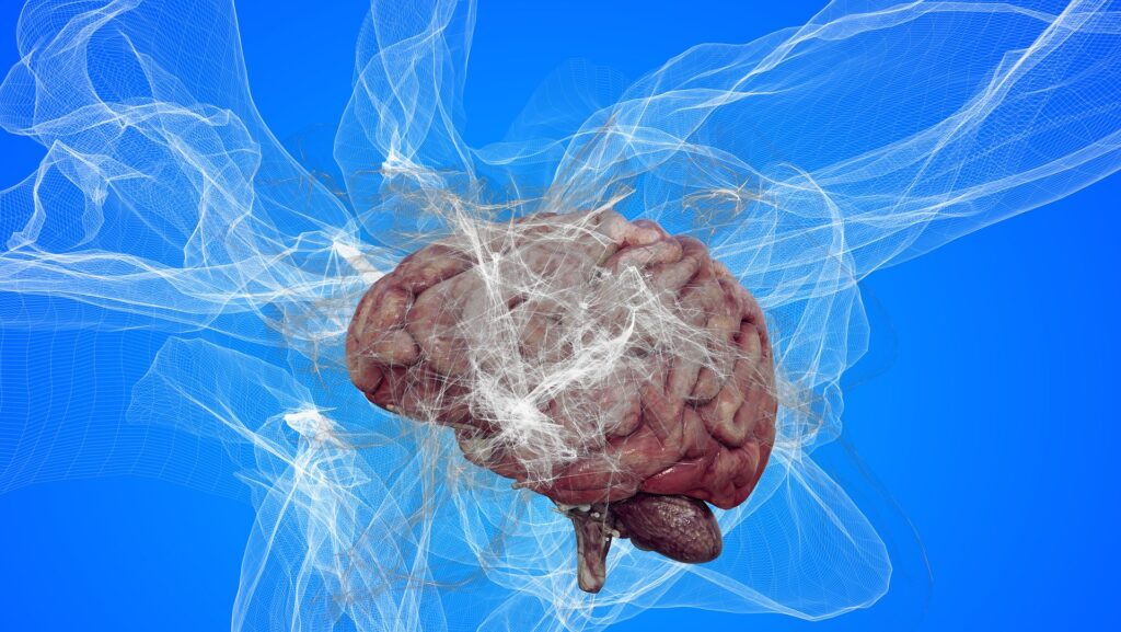 Brain and Neurons function on Dementia