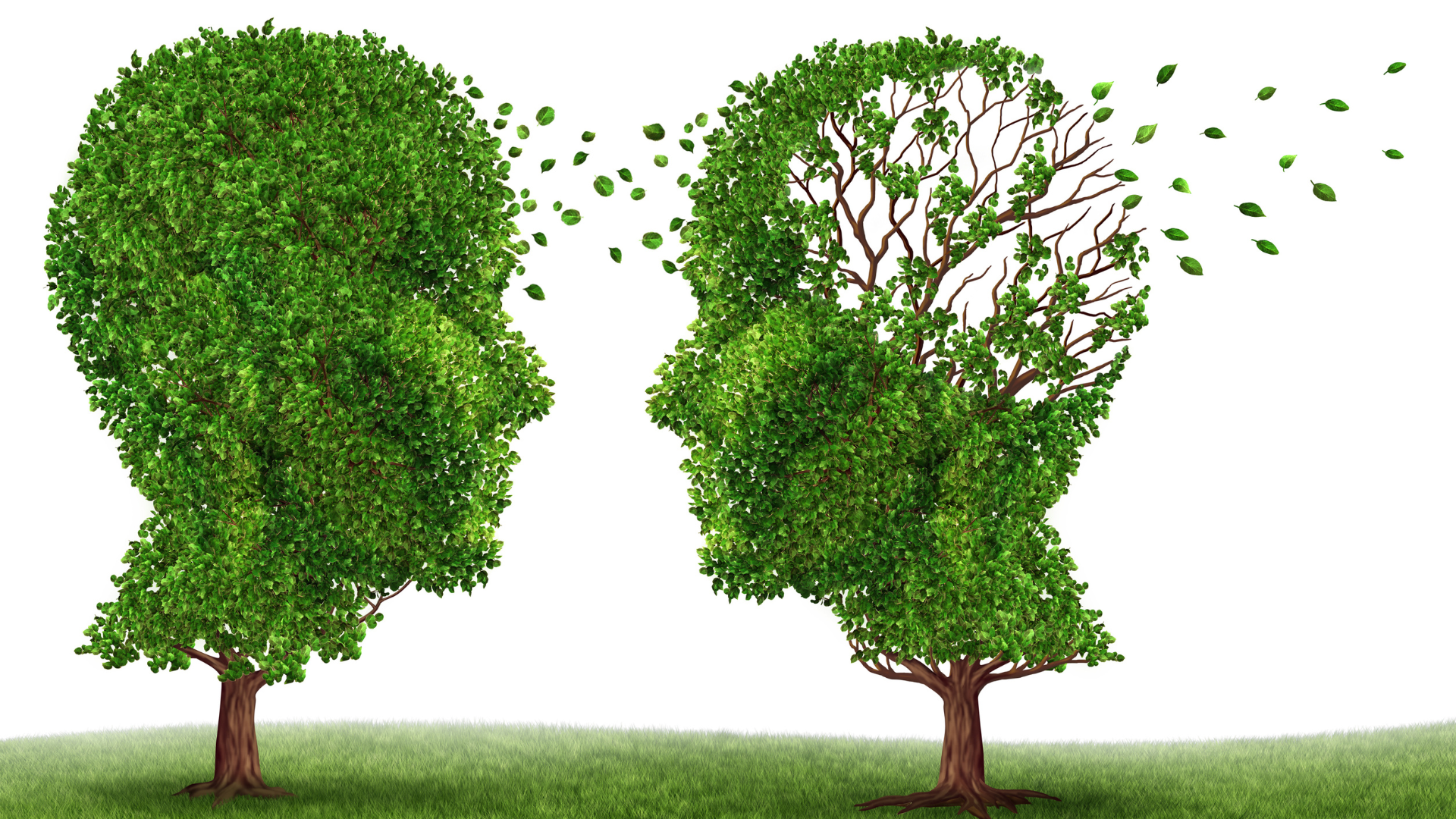 falling leaves representing dementia